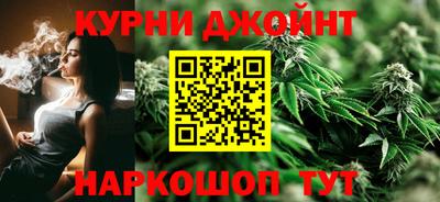 трава Сланцы
