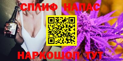 трава Сланцы