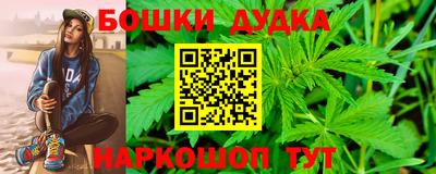 трава Сланцы