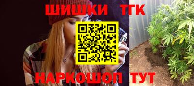 трава Сланцы